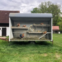 Eine 3D Illusion, von Mottiv-Wunsch gesprüht auf auf einen Bauwagen in Luckenwalde für den Tierpark. 