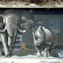 Eine Graffiti 3D Illusion von einem Elefanten und einem Nashorn auf einem Garagentor in Berlin Wannsee. 