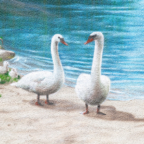 Zwei Schwäne am Seeufer, Graffiti Streetart auf einer Fassade einer Wohnungsgenossenschaft in Falkensee