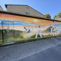 Asiatische Landschaft mit Taekwon-Do Kämpfern auf einer Fassade. Werbung für eine Kampfschule von Motiv-Wunsch.