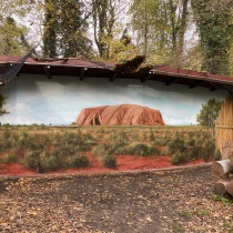 Éin Wandbild mit dem Thema Australien und dem Ayers Rock. In einer Fasanerie des Zoo von Berlin, gesprüht von Motiv-Wunsch.