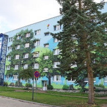 Große Bäume mit Himmel. Das größte gesprühte Wandbild in Templin von Motiv-Wunsch.