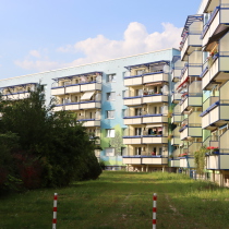Das größte gesprühte Wandbild in Brandenburg mit Bäumen und vielen Bilddetails. Auf Neubau Wohnblöcken in Templin.