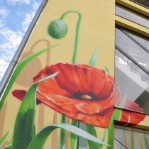 Mohnblume mit Grashalmen auf der Fassade von einem Bürogebäude aufgemalt. In Rangsdorf, Brandenburg von Motiv-Wunsch, Graffitiaufträge.