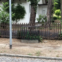 3D Illusion, Chamäleon Style, Illusionsmalerei auf einem Kabelverteiler vor einem Zaun von Mario Winkler.