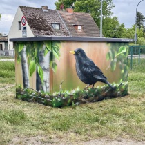 Eine Hyperrealistische Auftragsarbeit von Motiv-Wunsch mit einer Amsel auf einem Ast. Ein Graffitiauftrag auf einer Trafostation.